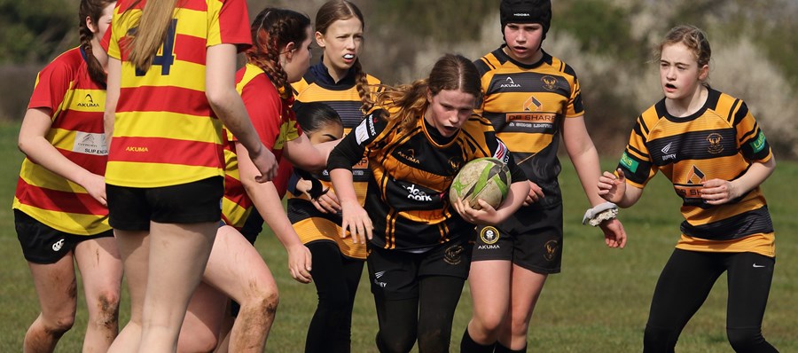 Letchworth Garden City RFC letchworth-garden-city-rfc